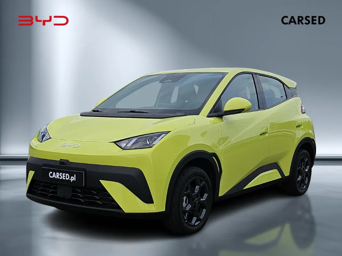 BYD Dolphin Surf 2025