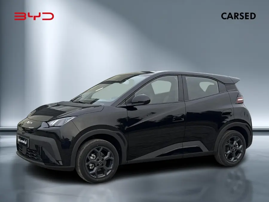 BYD Dolphin Surf Boost 2025