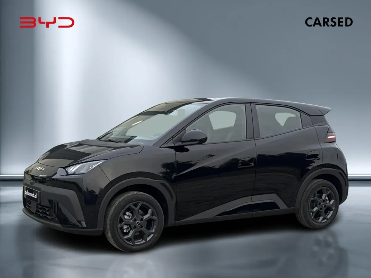 BYD Dolphin Surf Boost 2025